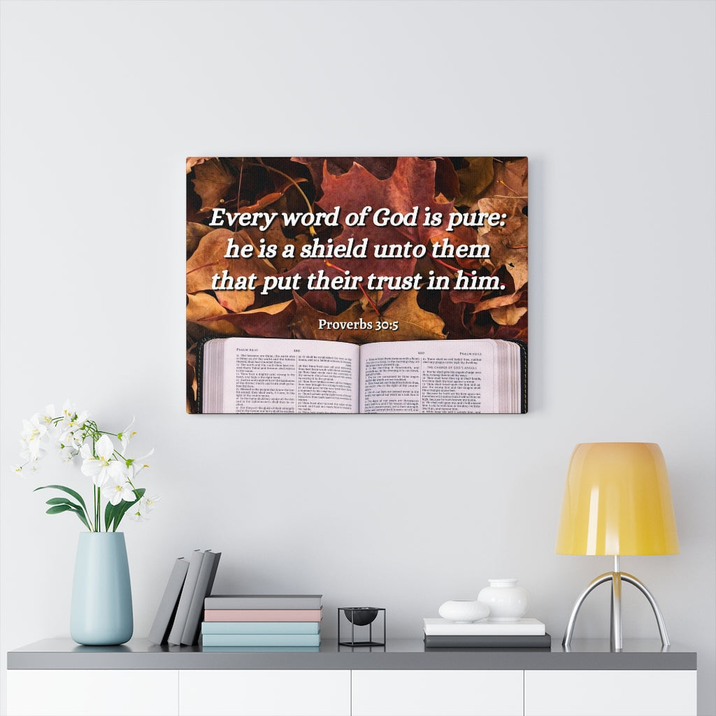 Scripture Walls A Shield Proverbs 30:5 Bible Verse Canvas Christian Wall Art Ready to Hang Unframed-Express Your Love Gifts