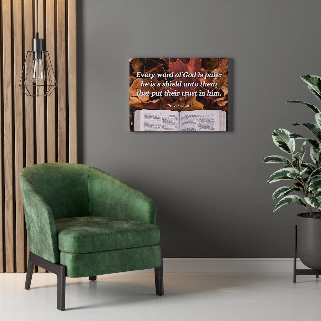 Scripture Walls A Shield Proverbs 30:5 Bible Verse Canvas Christian Wall Art Ready to Hang Unframed-Express Your Love Gifts