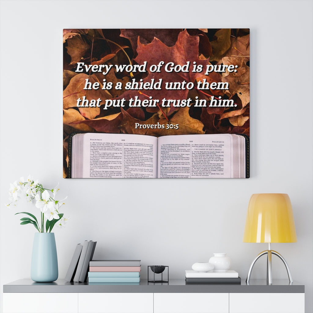 Scripture Walls A Shield Proverbs 30:5 Bible Verse Canvas Christian Wall Art Ready to Hang Unframed-Express Your Love Gifts