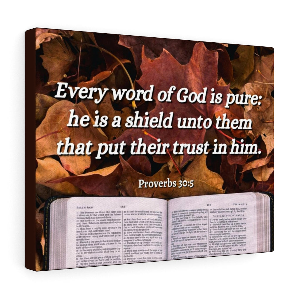 Scripture Walls A Shield Proverbs 30:5 Bible Verse Canvas Christian Wall Art Ready to Hang Unframed-Express Your Love Gifts
