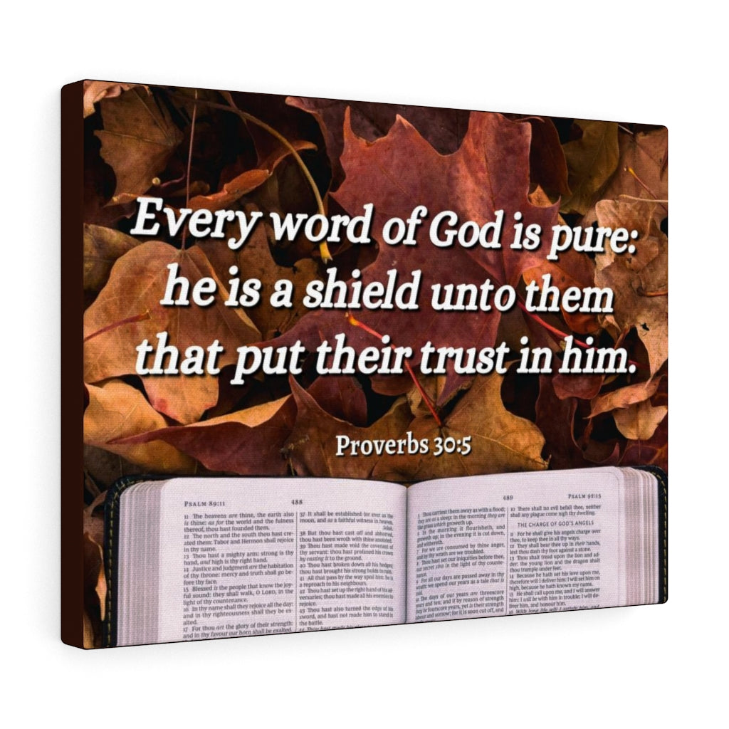 Scripture Walls A Shield Proverbs 30:5 Bible Verse Canvas Christian Wall Art Ready to Hang Unframed-Express Your Love Gifts