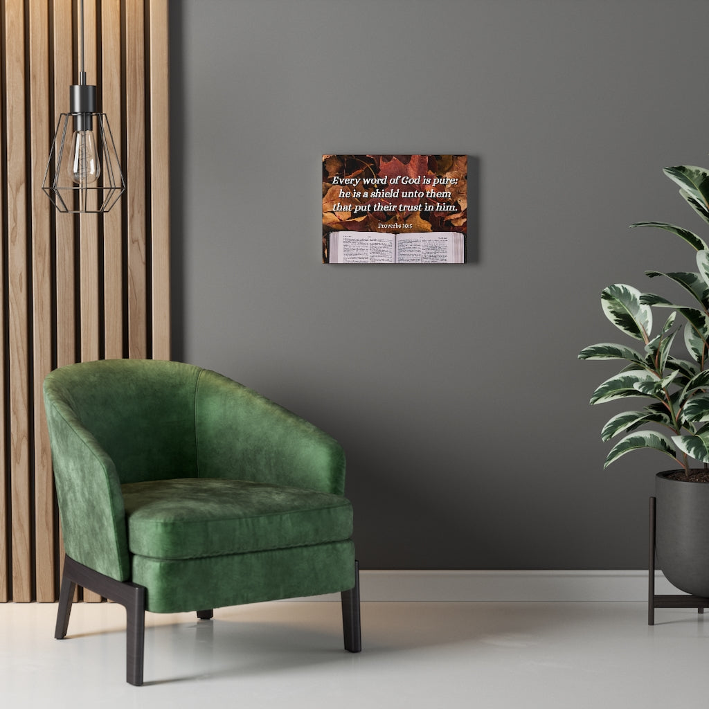 Scripture Walls A Shield Proverbs 30:5 Bible Verse Canvas Christian Wall Art Ready to Hang Unframed-Express Your Love Gifts