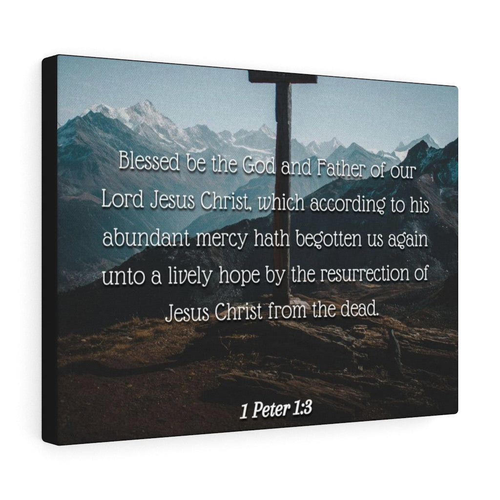 Scripture Walls Abundant Mercy 1 Peter 1:3 Bible Verse Canvas Christian Wall Art Ready to Hang Unframed-Express Your Love Gifts