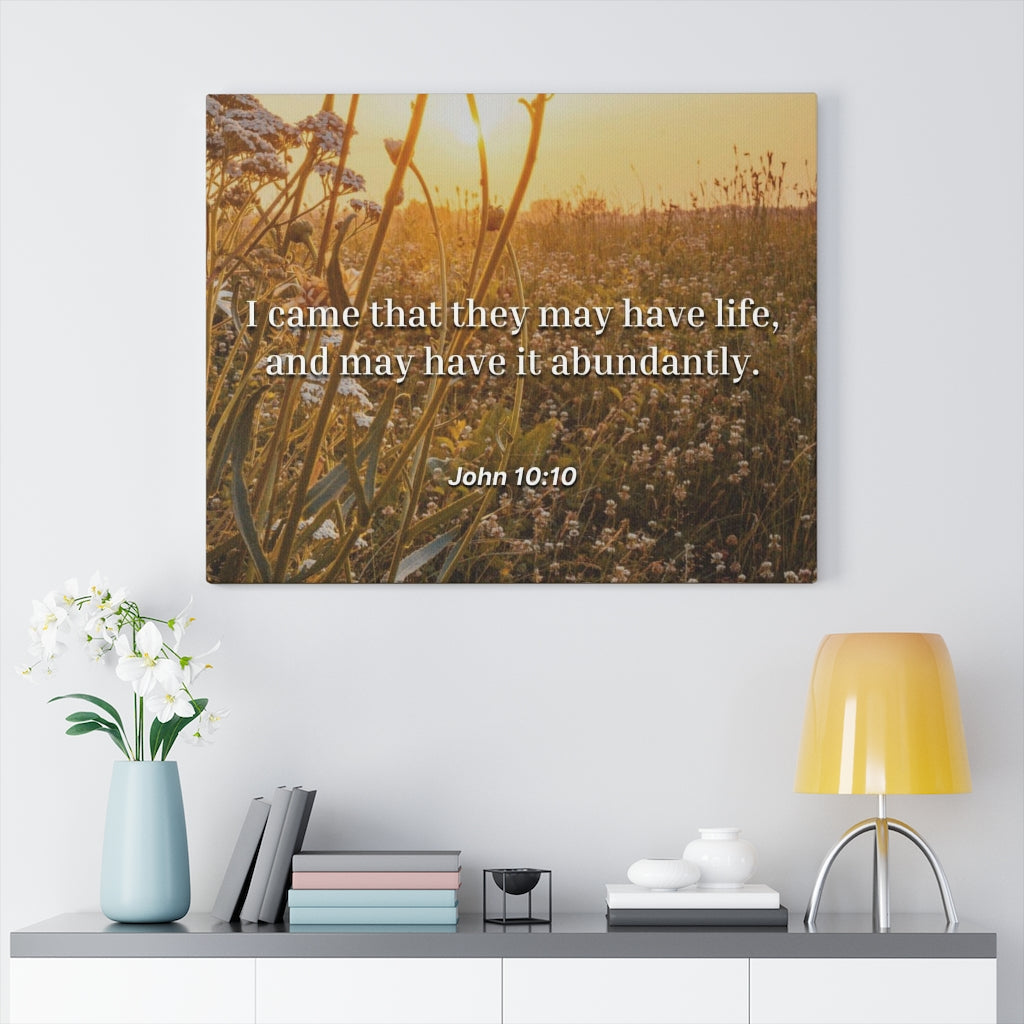 Scripture Walls Abundantly John 10:10 Bible Verse Canvas Christian Wall Art Ready to Hang Unframed-Express Your Love Gifts