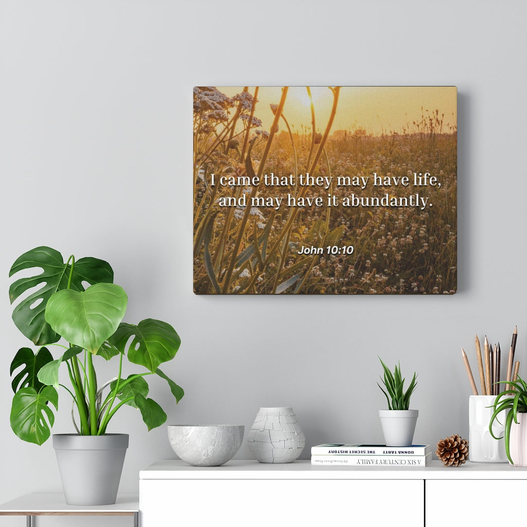 Scripture Walls Abundantly John 10:10 Bible Verse Canvas Christian Wall Art Ready to Hang Unframed-Express Your Love Gifts