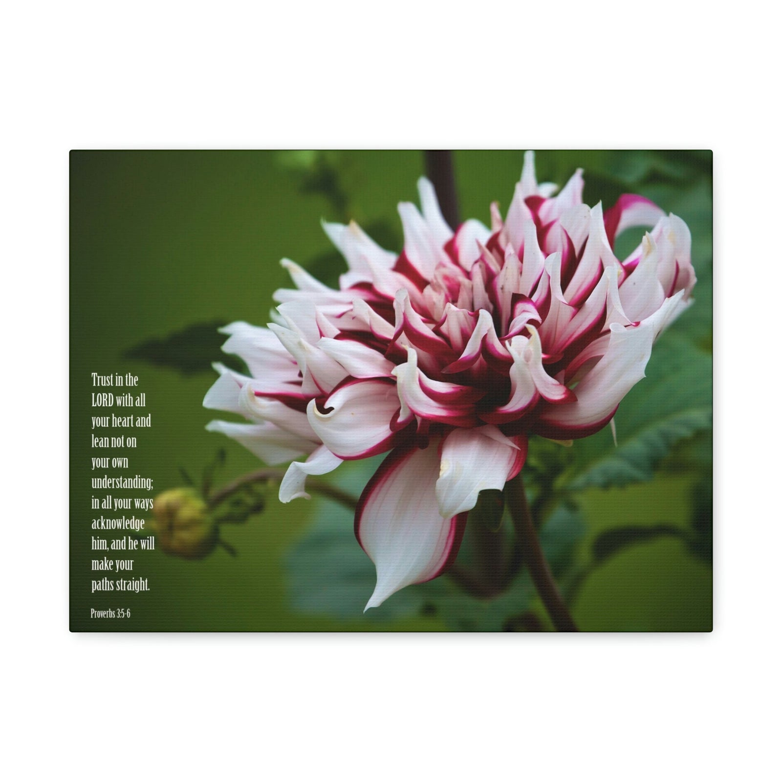 Scripture Walls All Your Heart Proverbs 3:5 Bible Verse Canvas Christian Wall Art Ready to Hang Unframed-Express Your Love Gifts