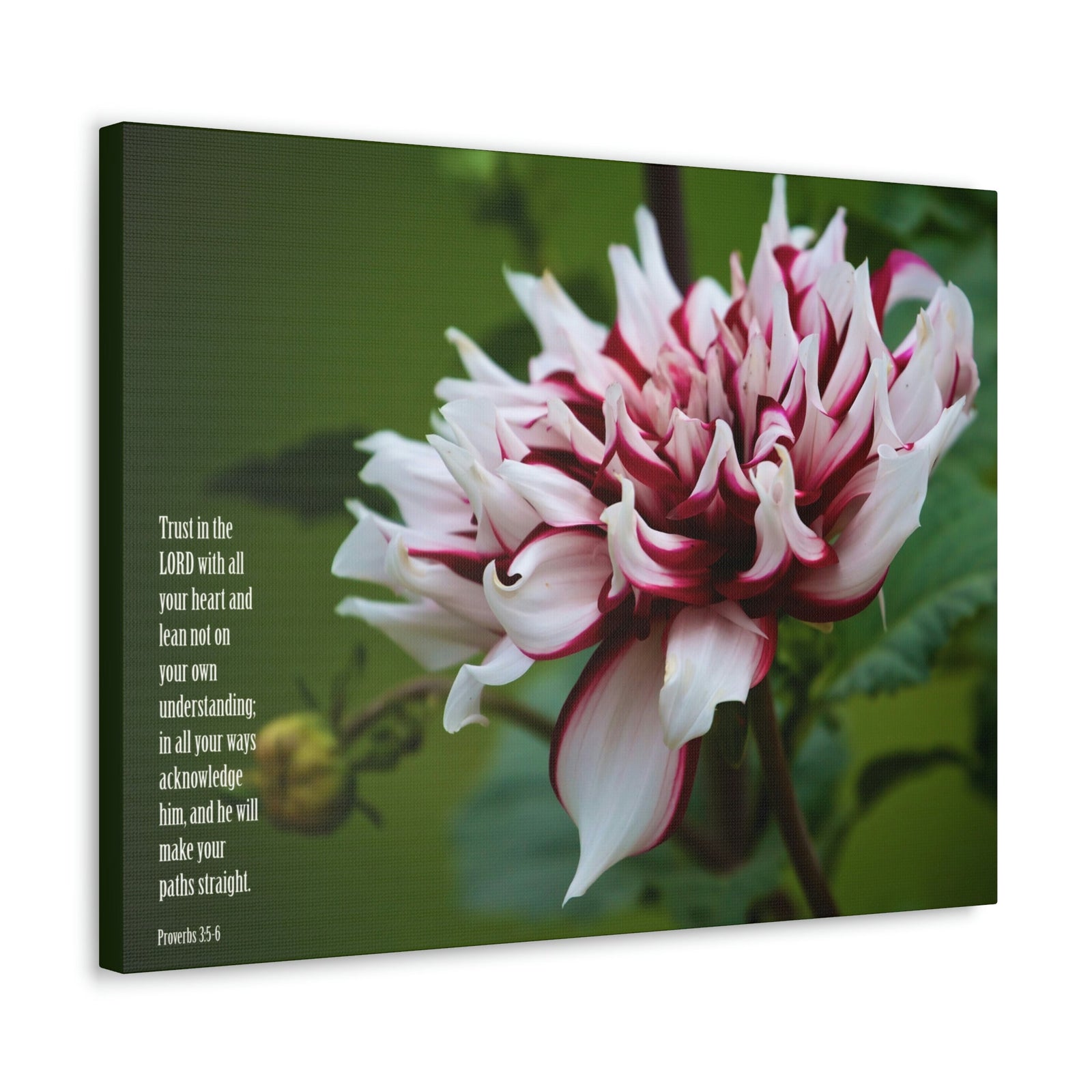 Scripture Walls All Your Heart Proverbs 3:5 Bible Verse Canvas Christian Wall Art Ready to Hang Unframed-Express Your Love Gifts