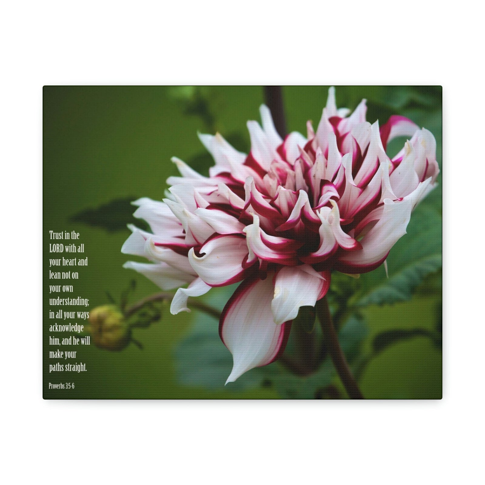 Scripture Walls All Your Heart Proverbs 3:5 Bible Verse Canvas Christian Wall Art Ready to Hang Unframed-Express Your Love Gifts