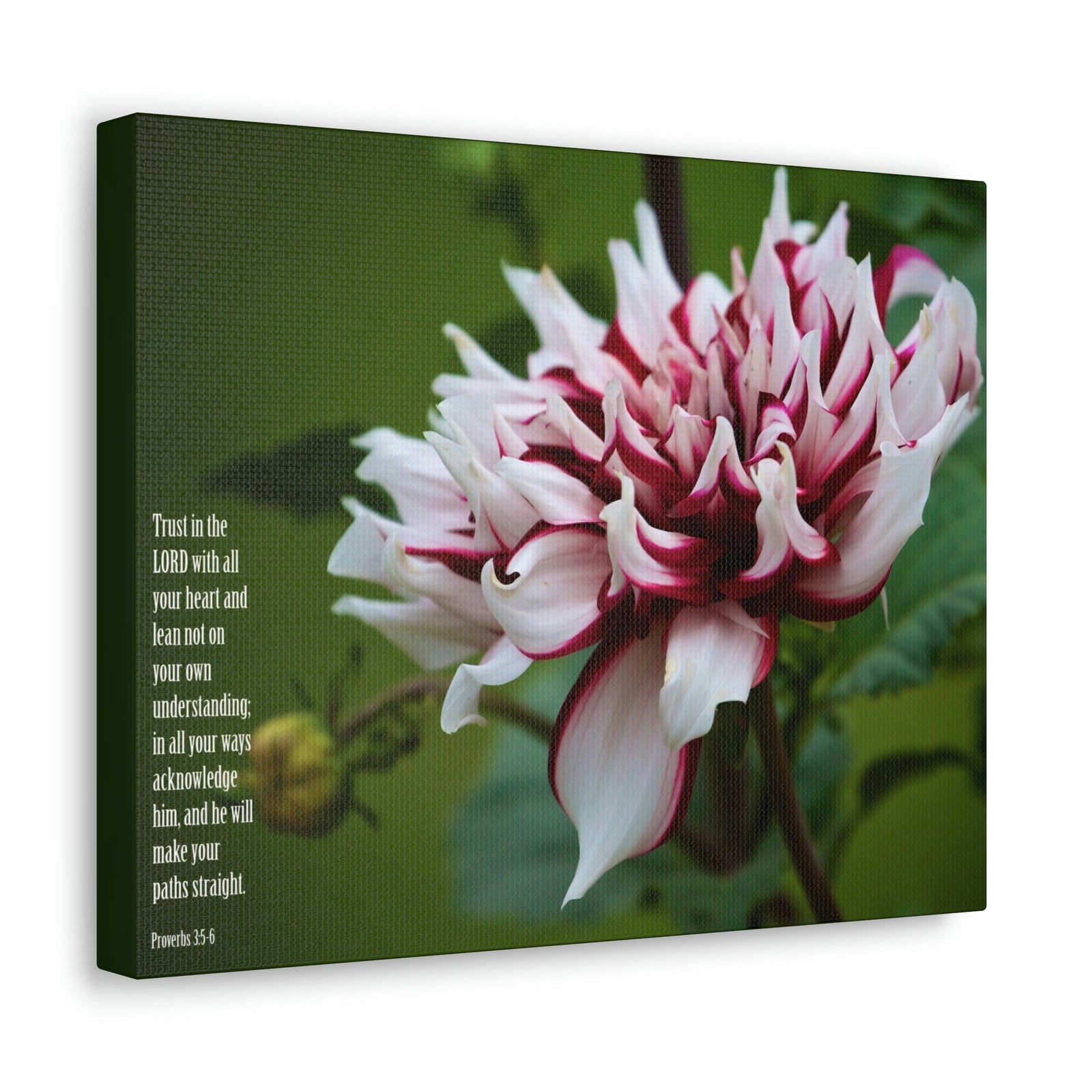 Scripture Walls All Your Heart Proverbs 3:5 Bible Verse Canvas Christian Wall Art Ready to Hang Unframed-Express Your Love Gifts