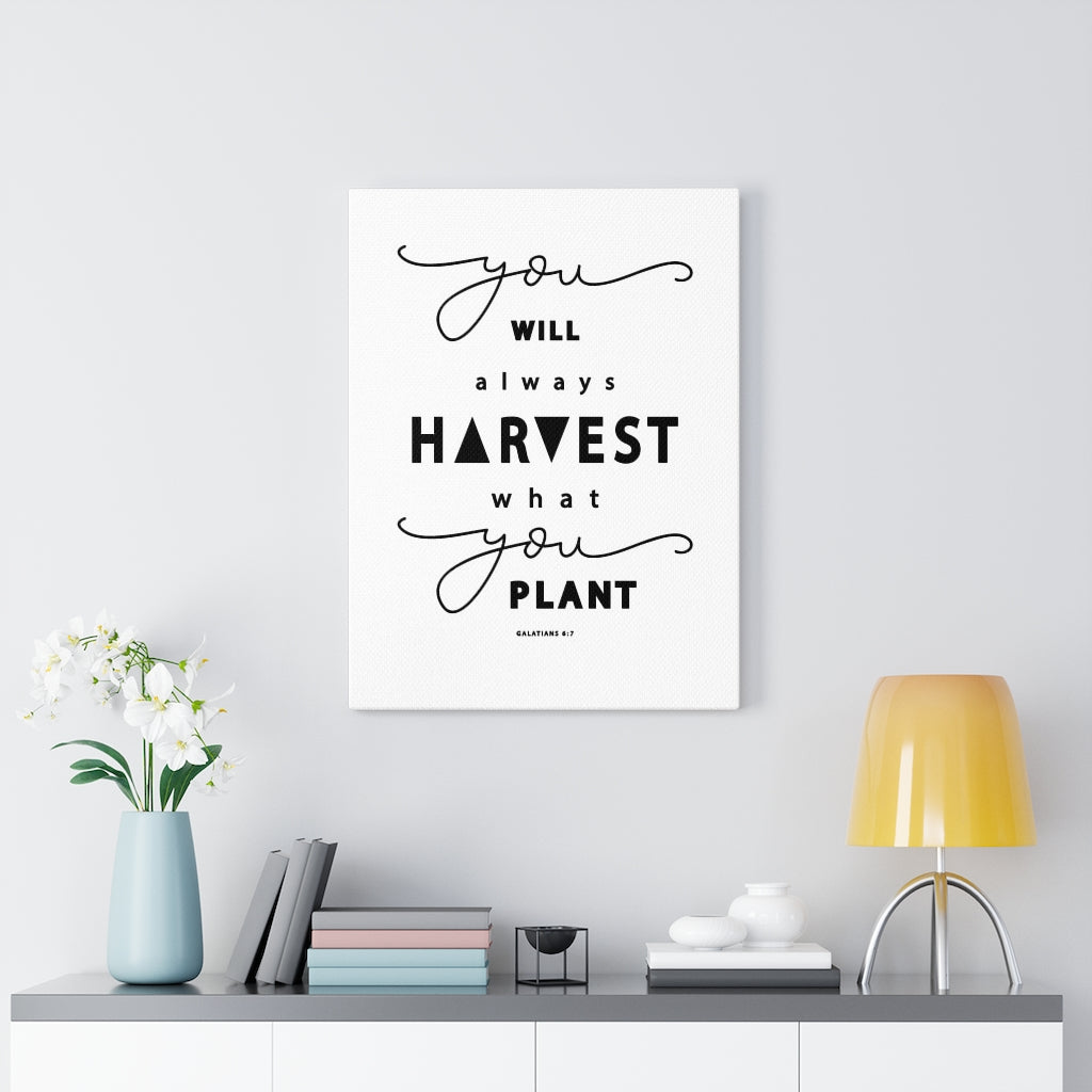 Scripture Walls Always Harvest What You Plant Galatians 6:7 Bible Verse Canvas Christian Wall Art Ready to Hang Unframed-Express Your Love Gifts