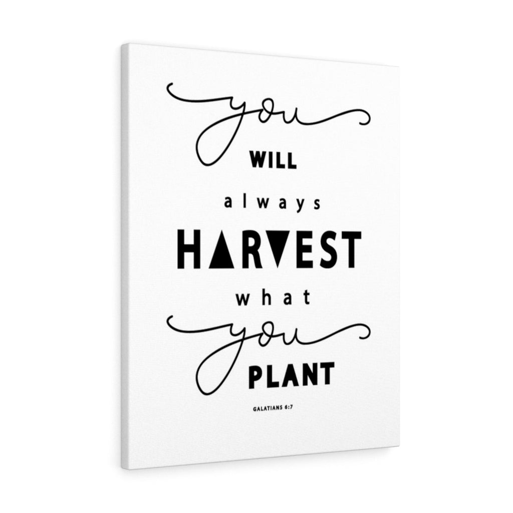 Scripture Walls Always Harvest What You Plant Galatians 6:7 Bible Verse Canvas Christian Wall Art Ready to Hang Unframed-Express Your Love Gifts