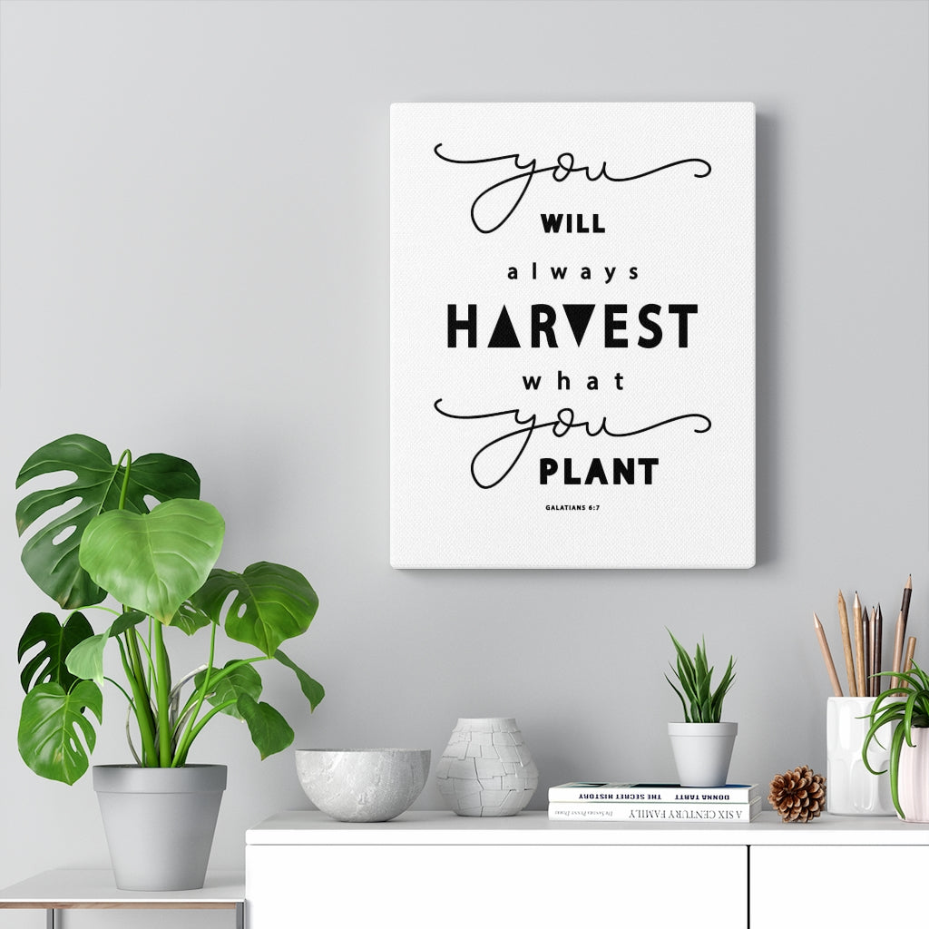 Scripture Walls Always Harvest What You Plant Galatians 6:7 Bible Verse Canvas Christian Wall Art Ready to Hang Unframed-Express Your Love Gifts