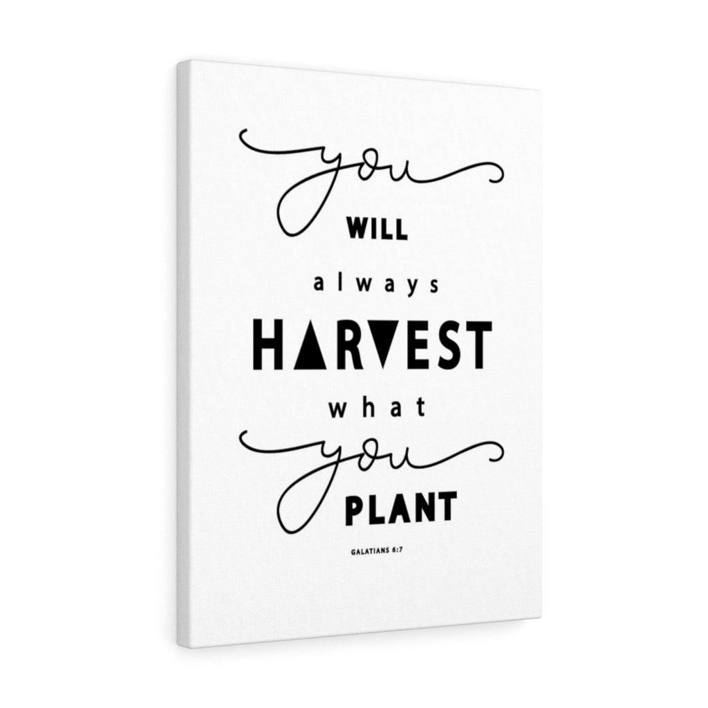 Scripture Walls Always Harvest What You Plant Galatians 6:7 Bible Verse Canvas Christian Wall Art Ready to Hang Unframed-Express Your Love Gifts