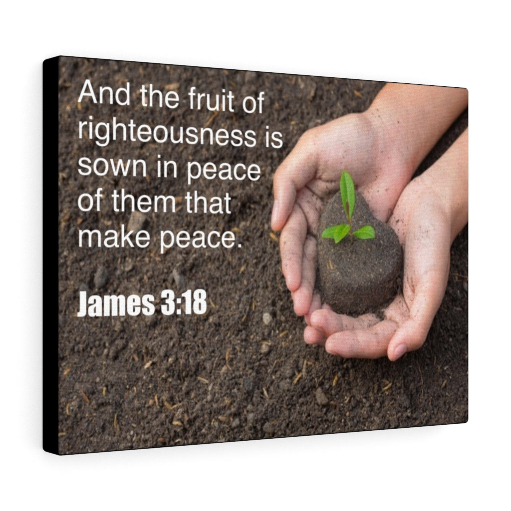 Scripture Walls And The Fruit of Righteousness James 3:18 Bible Verse Canvas Christian Wall Art Ready to Hang Unframed-Express Your Love Gifts