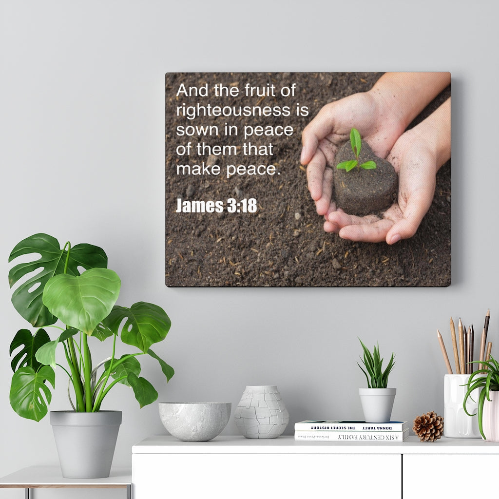 Scripture Walls And The Fruit of Righteousness James 3:18 Bible Verse Canvas Christian Wall Art Ready to Hang Unframed-Express Your Love Gifts