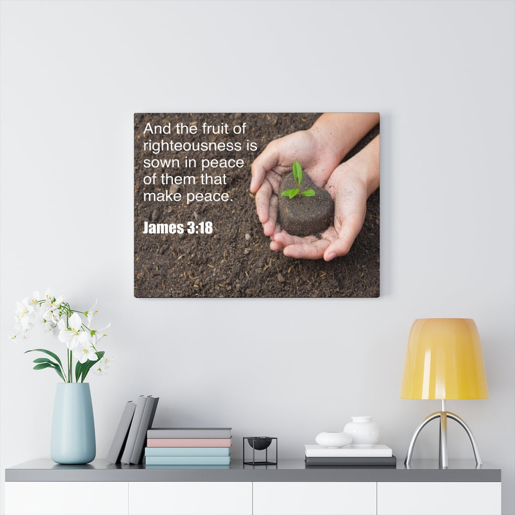 Scripture Walls And The Fruit of Righteousness James 3:18 Bible Verse Canvas Christian Wall Art Ready to Hang Unframed-Express Your Love Gifts