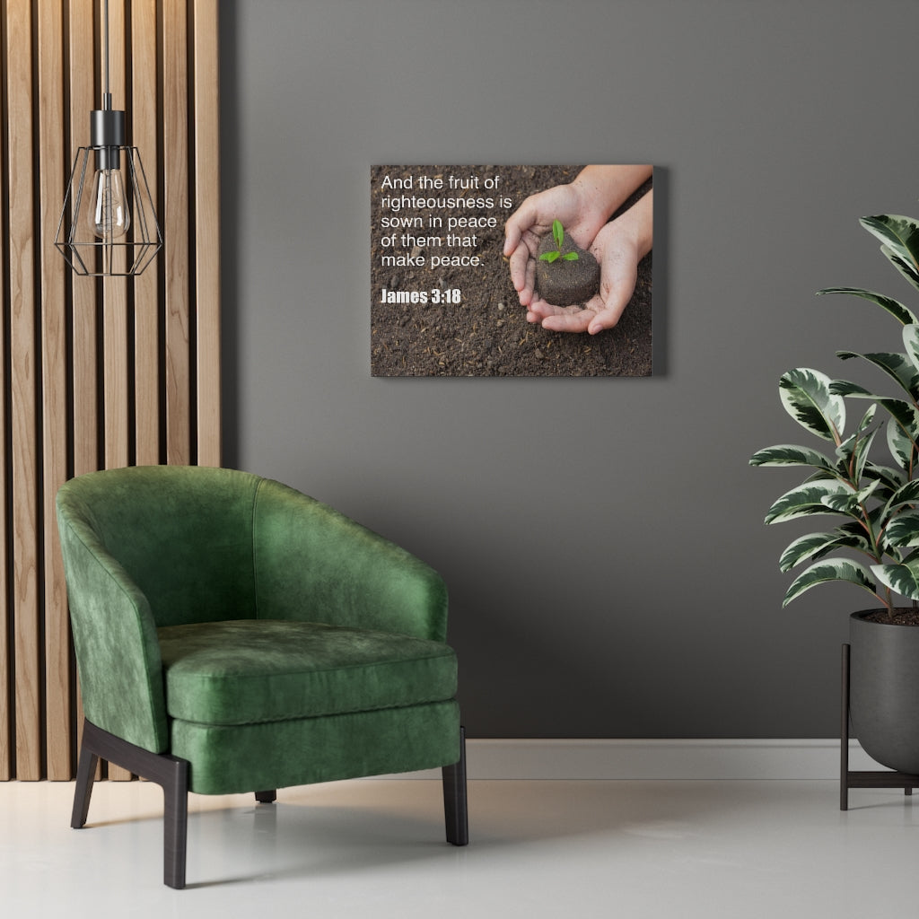 Scripture Walls And The Fruit of Righteousness James 3:18 Bible Verse Canvas Christian Wall Art Ready to Hang Unframed-Express Your Love Gifts