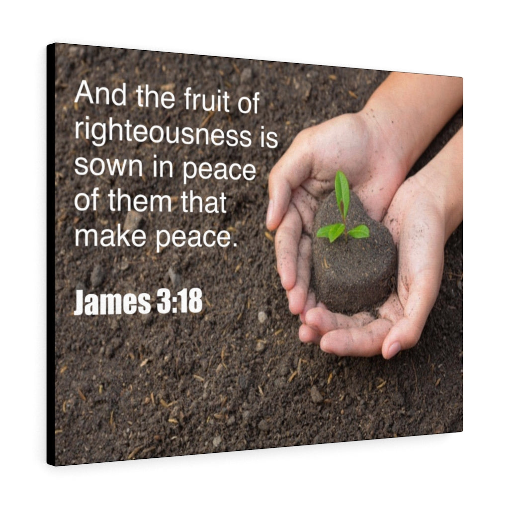 Scripture Walls And The Fruit of Righteousness James 3:18 Bible Verse Canvas Christian Wall Art Ready to Hang Unframed-Express Your Love Gifts