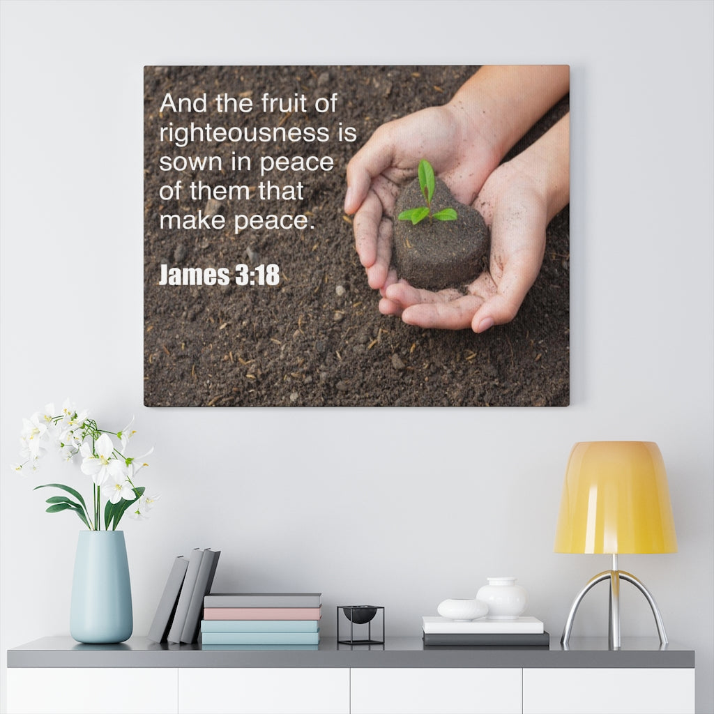 Scripture Walls And The Fruit of Righteousness James 3:18 Bible Verse Canvas Christian Wall Art Ready to Hang Unframed-Express Your Love Gifts