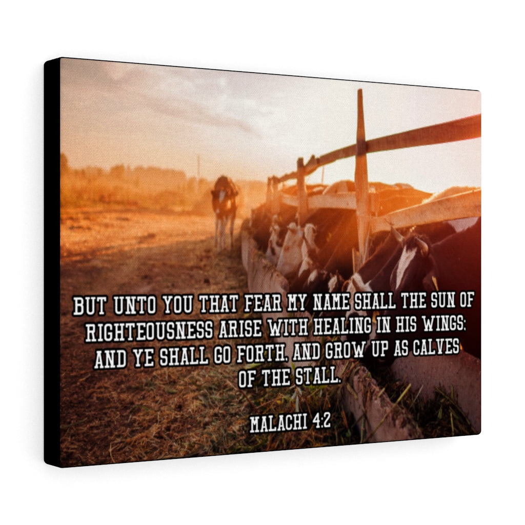 Scripture Walls And Ye Shall Go Forth Malachi 4:2 Bible Verse Canvas Christian Wall Art Ready to Hang Unframed-Express Your Love Gifts