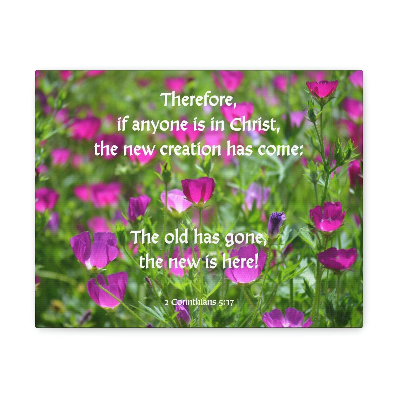 Scripture Walls Anyone in Christ 2 Corinthians 5:17 Flowers Christian Wall Art Bible Verse Print Ready to Hang Unframed-Express Your Love Gifts