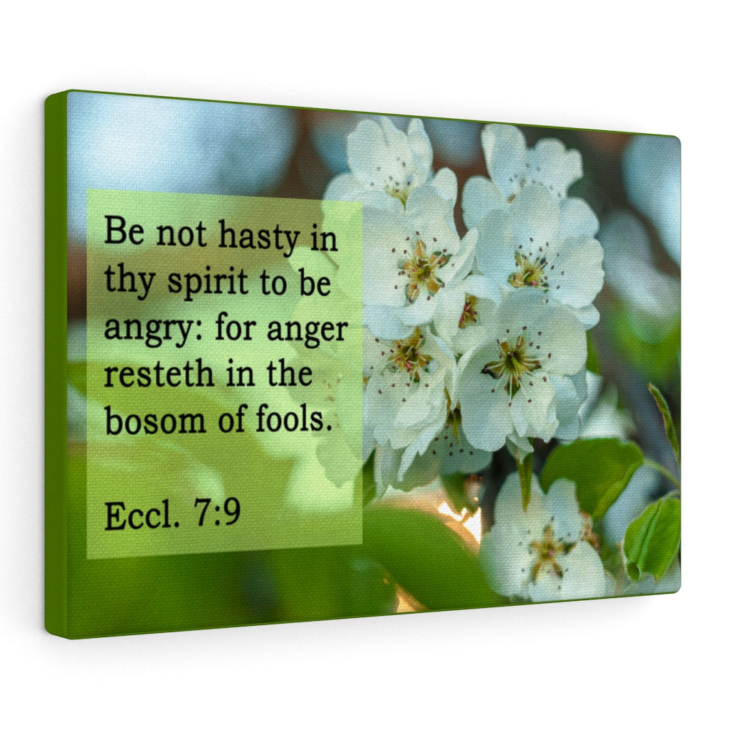 Scripture Walls Be Not Hasty Ecclesiastes 7:9 Bible Verse Canvas Christian Wall Art Ready to Hang Unframed-Express Your Love Gifts