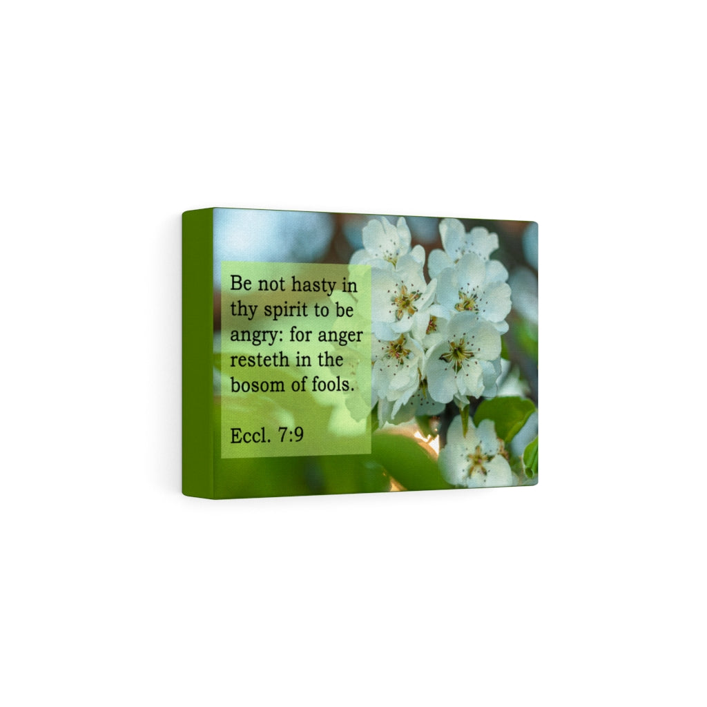 Scripture Walls Be Not Hasty Ecclesiastes 7:9 Bible Verse Canvas Christian Wall Art Ready to Hang Unframed-Express Your Love Gifts