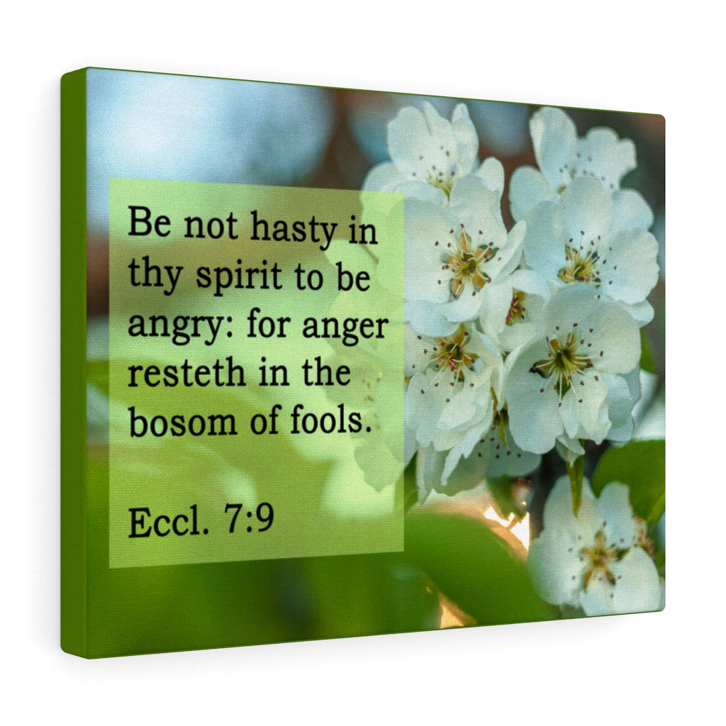 Scripture Walls Be Not Hasty Ecclesiastes 7:9 Bible Verse Canvas Christian Wall Art Ready to Hang Unframed-Express Your Love Gifts