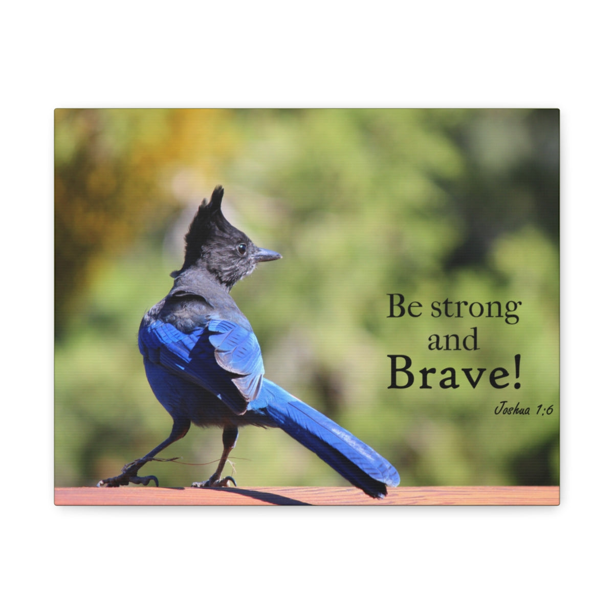 Scripture Walls Be Strong And Brave Joshua 1:6 Bible Verse Canvas Christian Wall Art Bible Verse Print Ready To Hang Unframed-Express Your Love Gifts