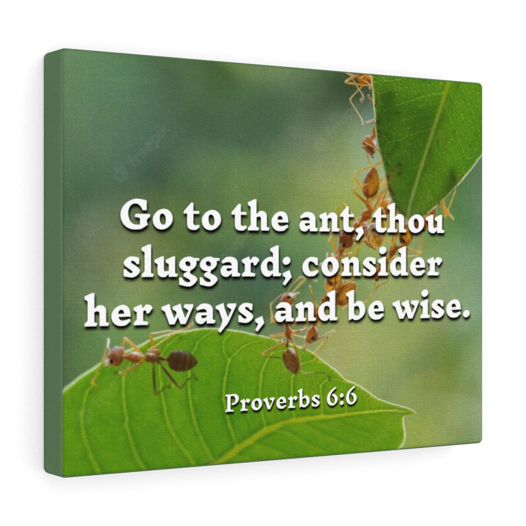 Scripture Walls Be Wise Proverbs 6:6 Bible Verse Canvas Christian Wall Art Ready to Hang Unframed-Express Your Love Gifts