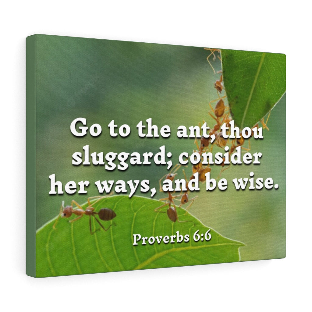 Scripture Walls Be Wise Proverbs 6:6 Bible Verse Canvas Christian Wall Art Ready to Hang Unframed-Express Your Love Gifts