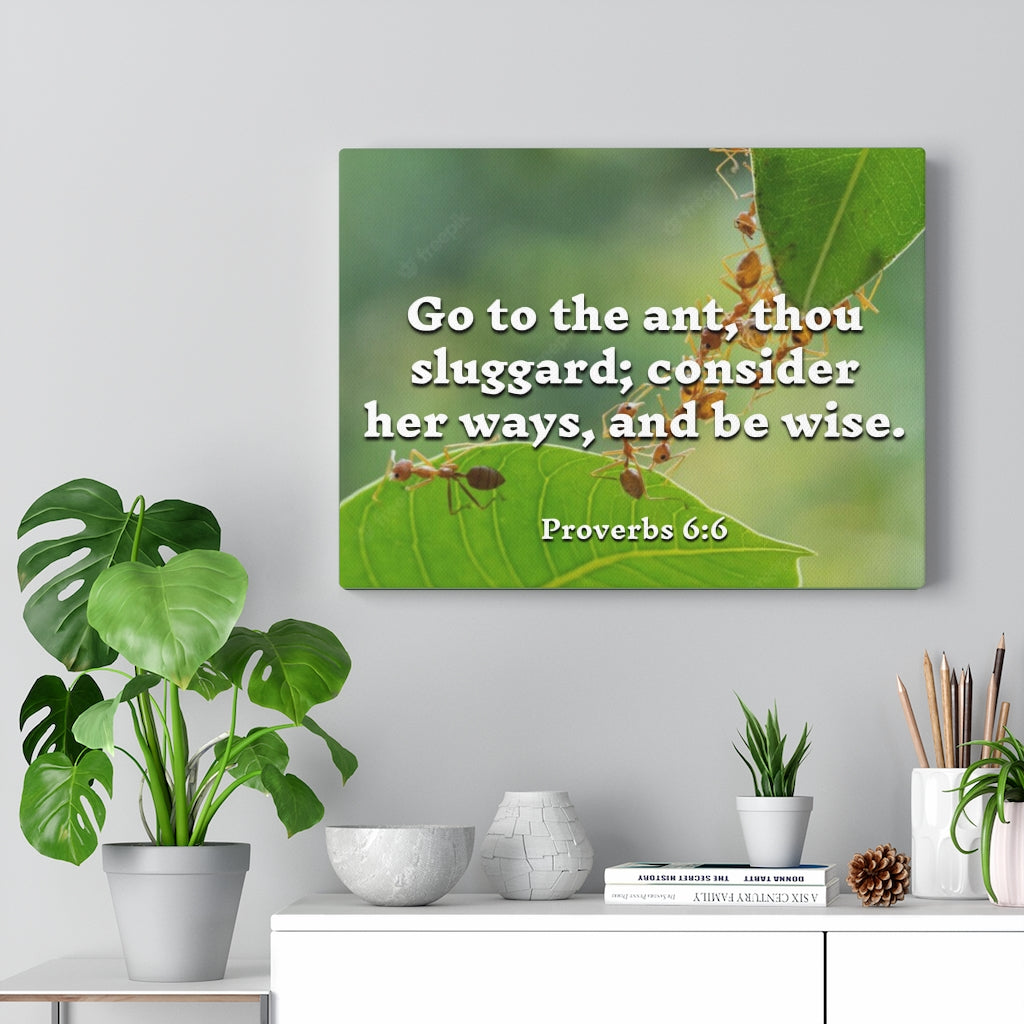 Scripture Walls Be Wise Proverbs 6:6 Bible Verse Canvas Christian Wall Art Ready to Hang Unframed-Express Your Love Gifts