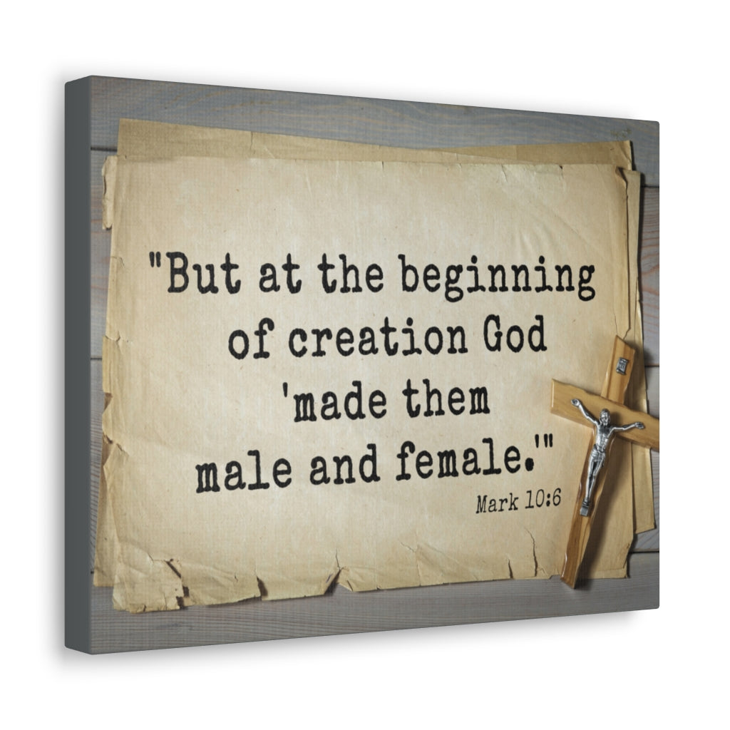 Scripture Walls Beginning Of Creation Mark 10:6 Bible Verse Canvas Christian Wall Art Ready to Hang Unframed-Express Your Love Gifts