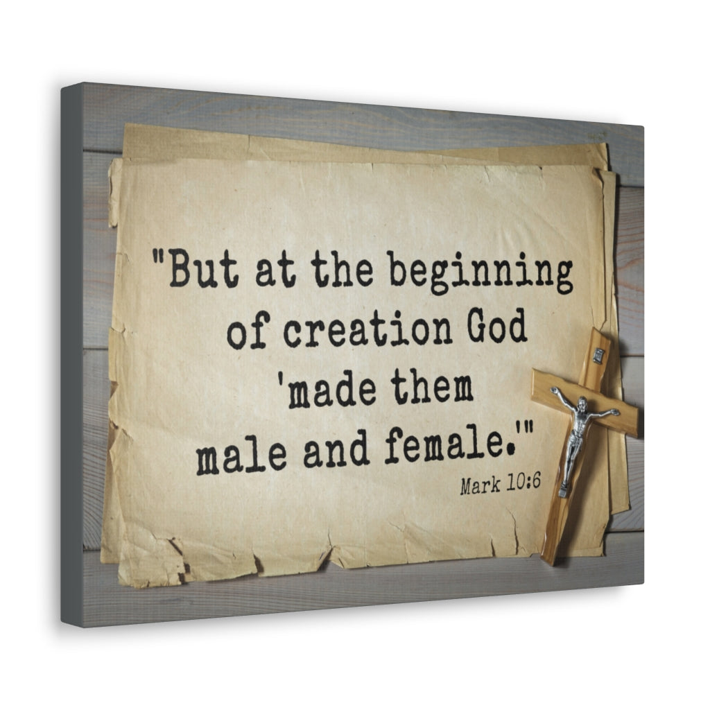 Scripture Walls Beginning Of Creation Mark 10:6 Bible Verse Canvas Christian Wall Art Ready to Hang Unframed-Express Your Love Gifts