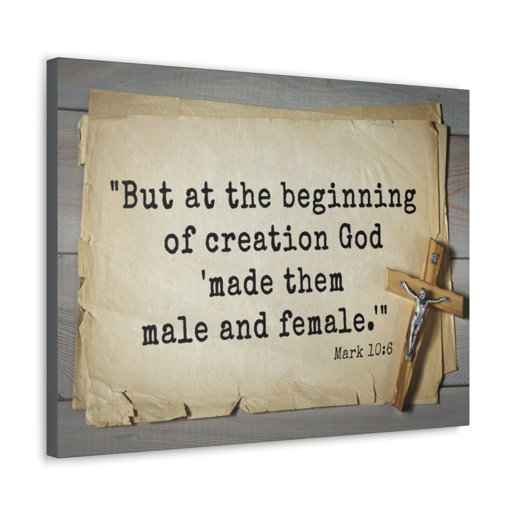 Scripture Walls Beginning Of Creation Mark 10:6 Bible Verse Canvas Christian Wall Art Ready to Hang Unframed-Express Your Love Gifts