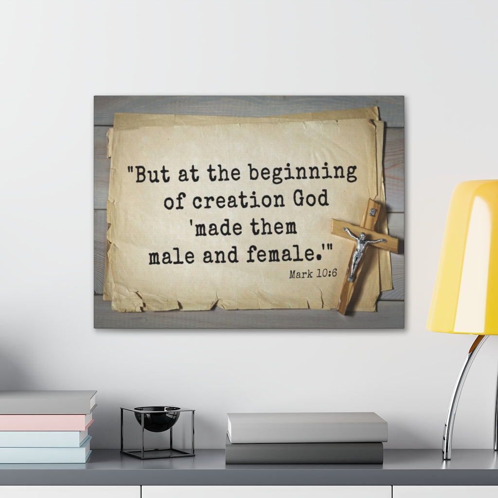 Scripture Walls Beginning Of Creation Mark 10:6 Bible Verse Canvas Christian Wall Art Ready to Hang Unframed-Express Your Love Gifts