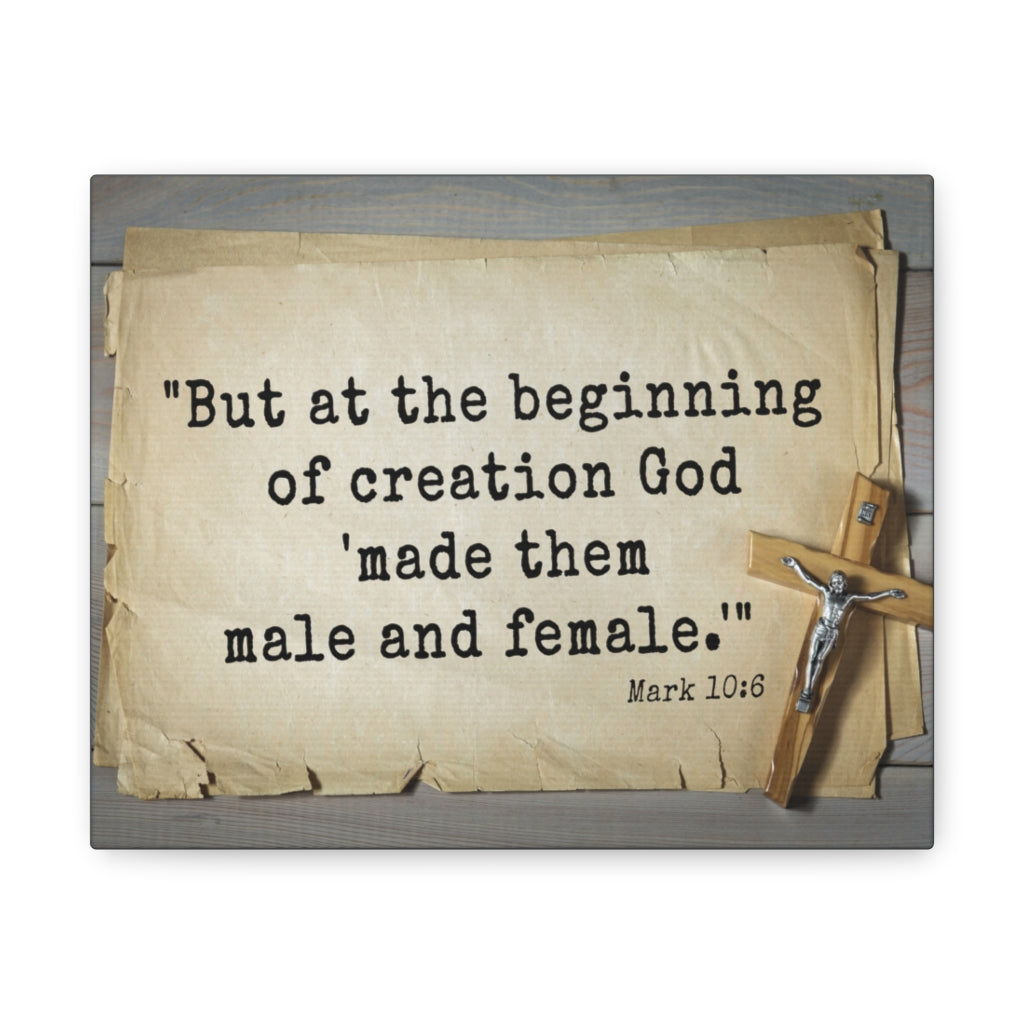 Scripture Walls Beginning Of Creation Mark 10:6 Bible Verse Canvas Christian Wall Art Ready to Hang Unframed-Express Your Love Gifts