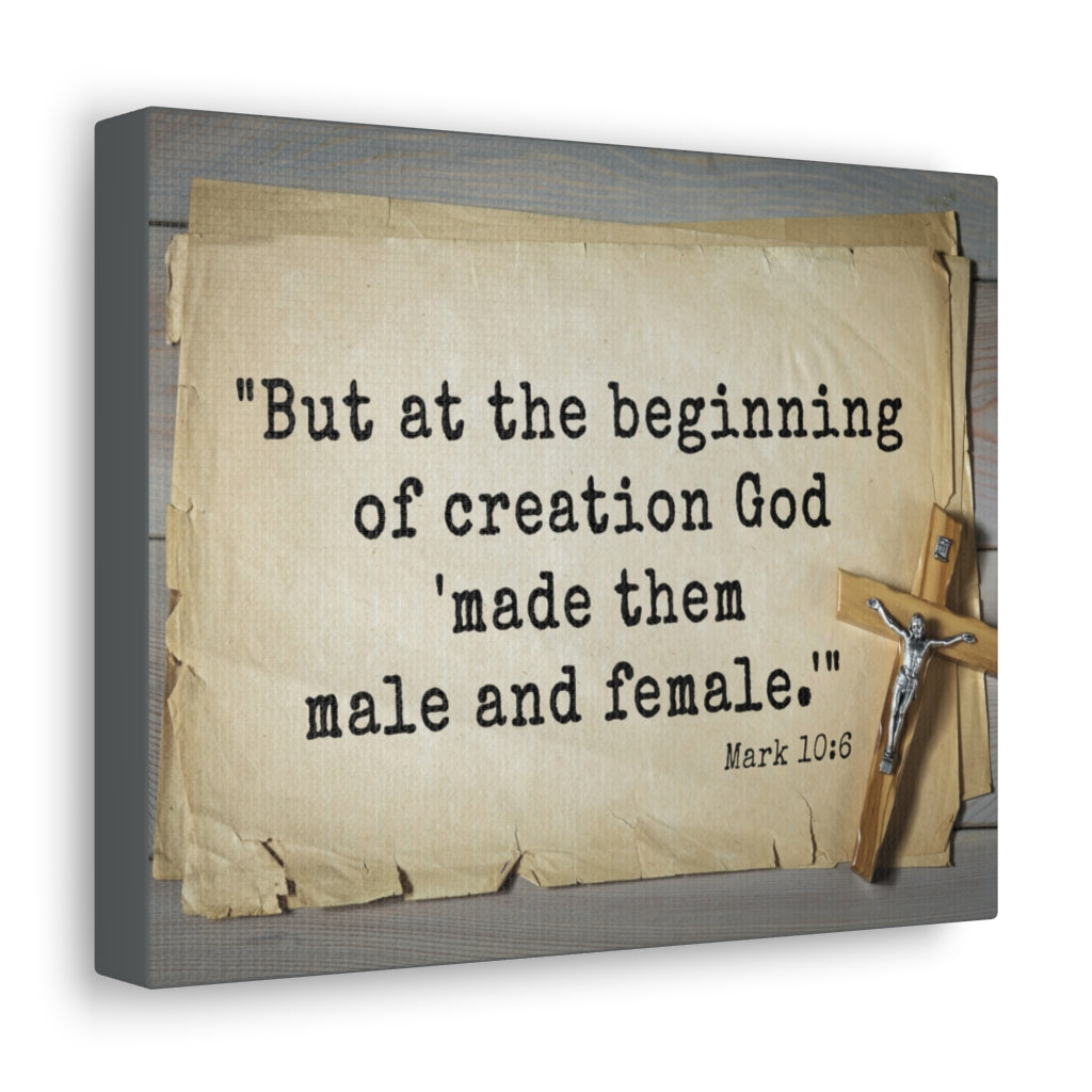 Scripture Walls Beginning Of Creation Mark 10:6 Bible Verse Canvas Christian Wall Art Ready to Hang Unframed-Express Your Love Gifts