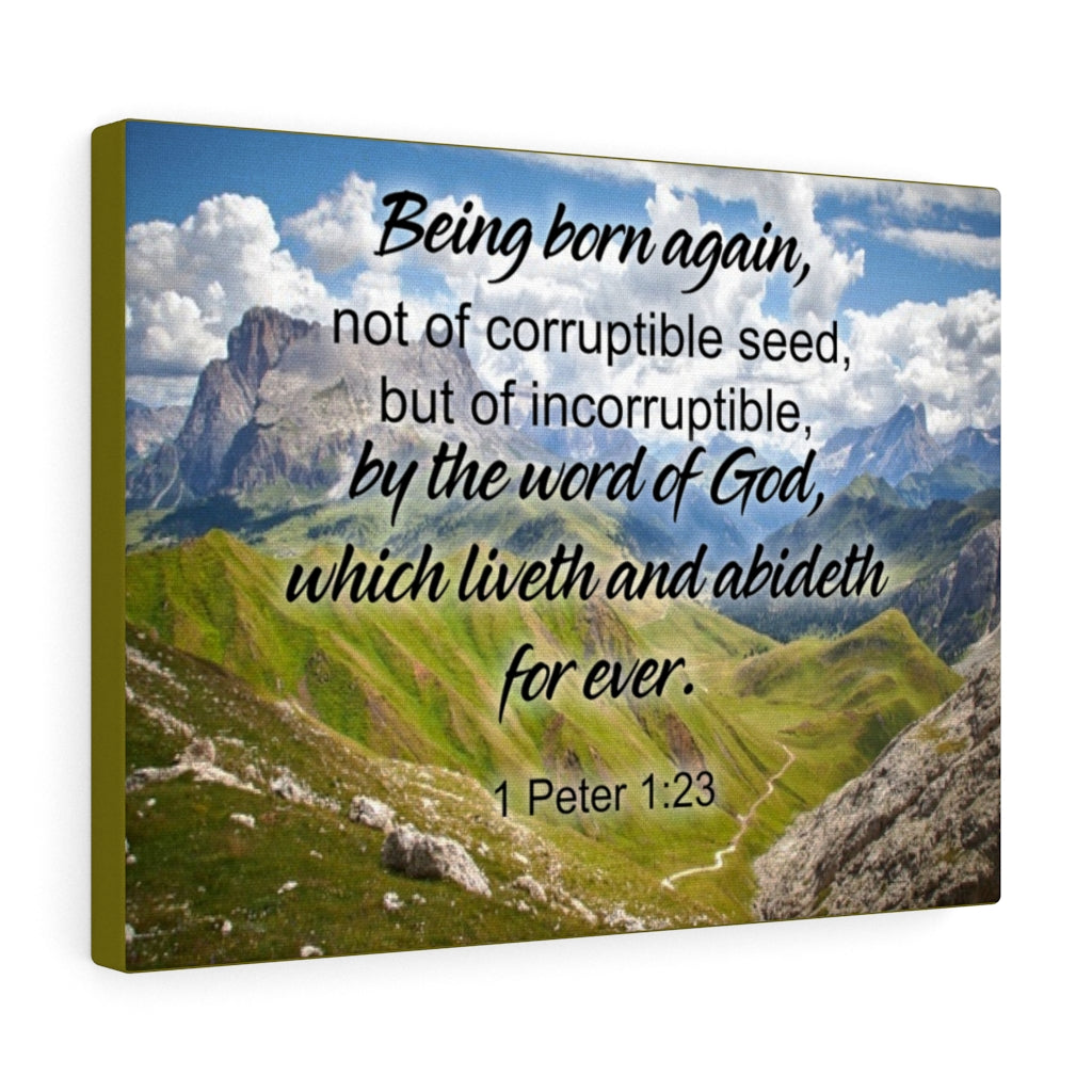 Scripture Walls Being Born Again 1 Peter 1:23 Bible Verse Canvas Christian Wall Art Ready to Hang Unframed-Express Your Love Gifts