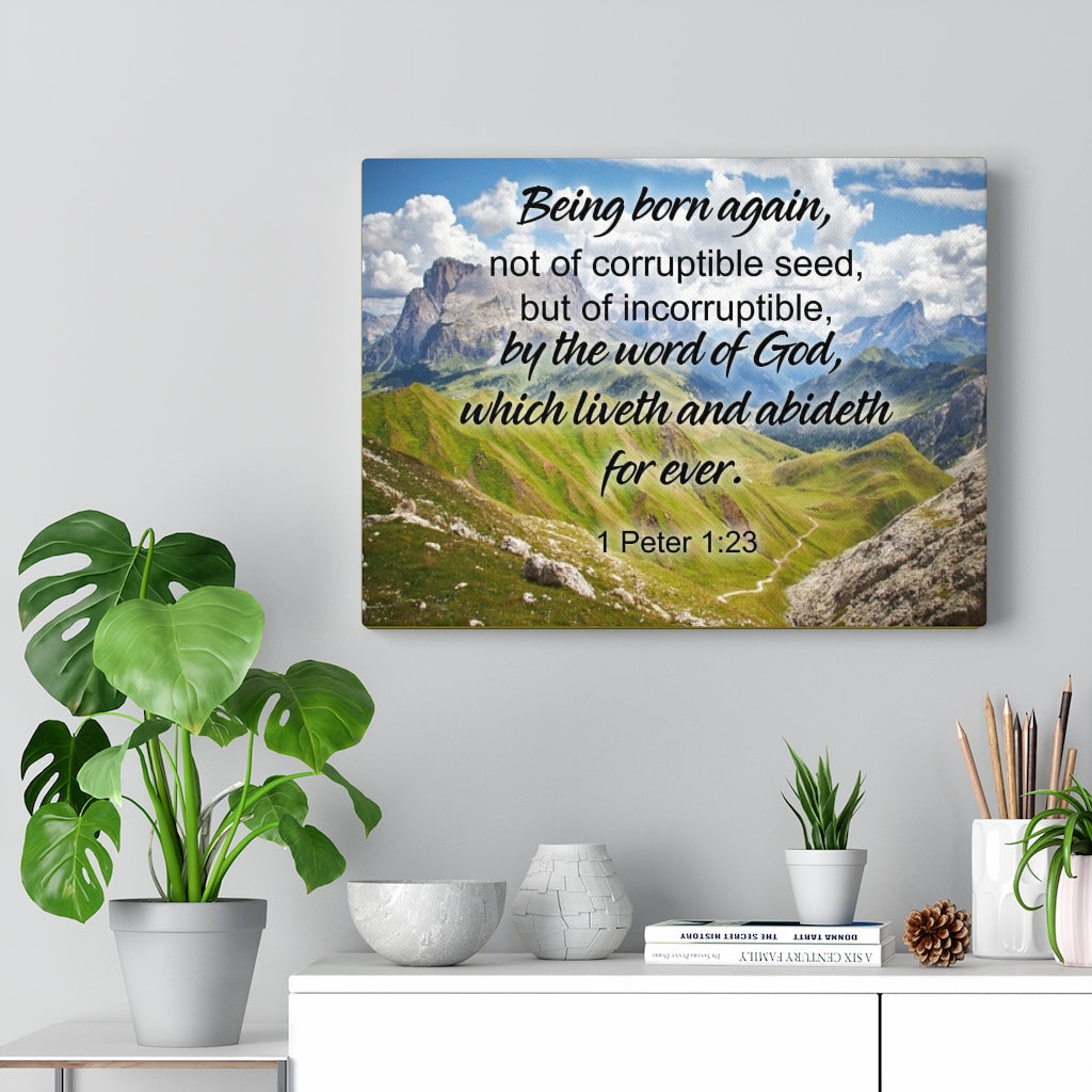 Scripture Walls Being Born Again 1 Peter 1:23 Bible Verse Canvas Christian Wall Art Ready to Hang Unframed-Express Your Love Gifts