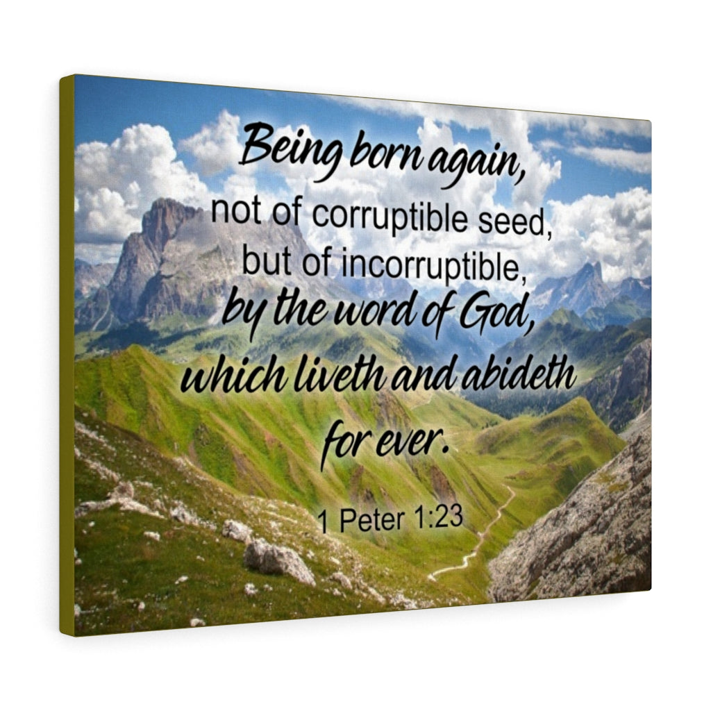 Scripture Walls Being Born Again 1 Peter 1:23 Bible Verse Canvas Christian Wall Art Ready to Hang Unframed-Express Your Love Gifts