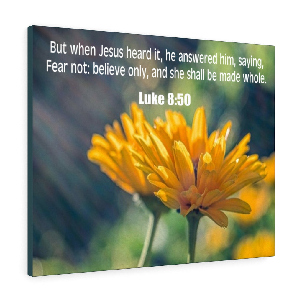 Scripture Walls Believe Only Luke 8:50 Bible Verse Canvas Christian Wall Art Ready to Hang Unframed-Express Your Love Gifts