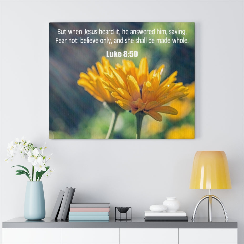 Scripture Walls Believe Only Luke 8:50 Bible Verse Canvas Christian Wall Art Ready to Hang Unframed-Express Your Love Gifts
