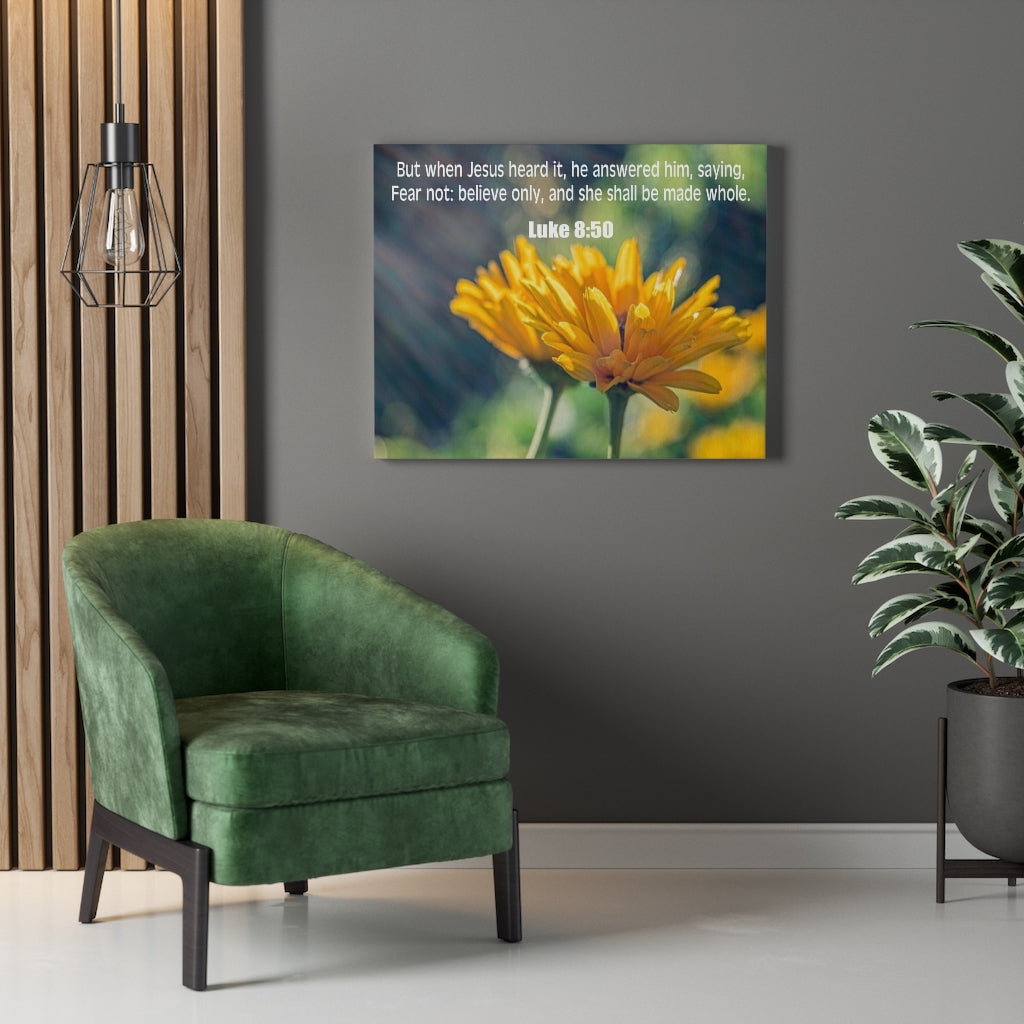 Scripture Walls Believe Only Luke 8:50 Bible Verse Canvas Christian Wall Art Ready to Hang Unframed-Express Your Love Gifts