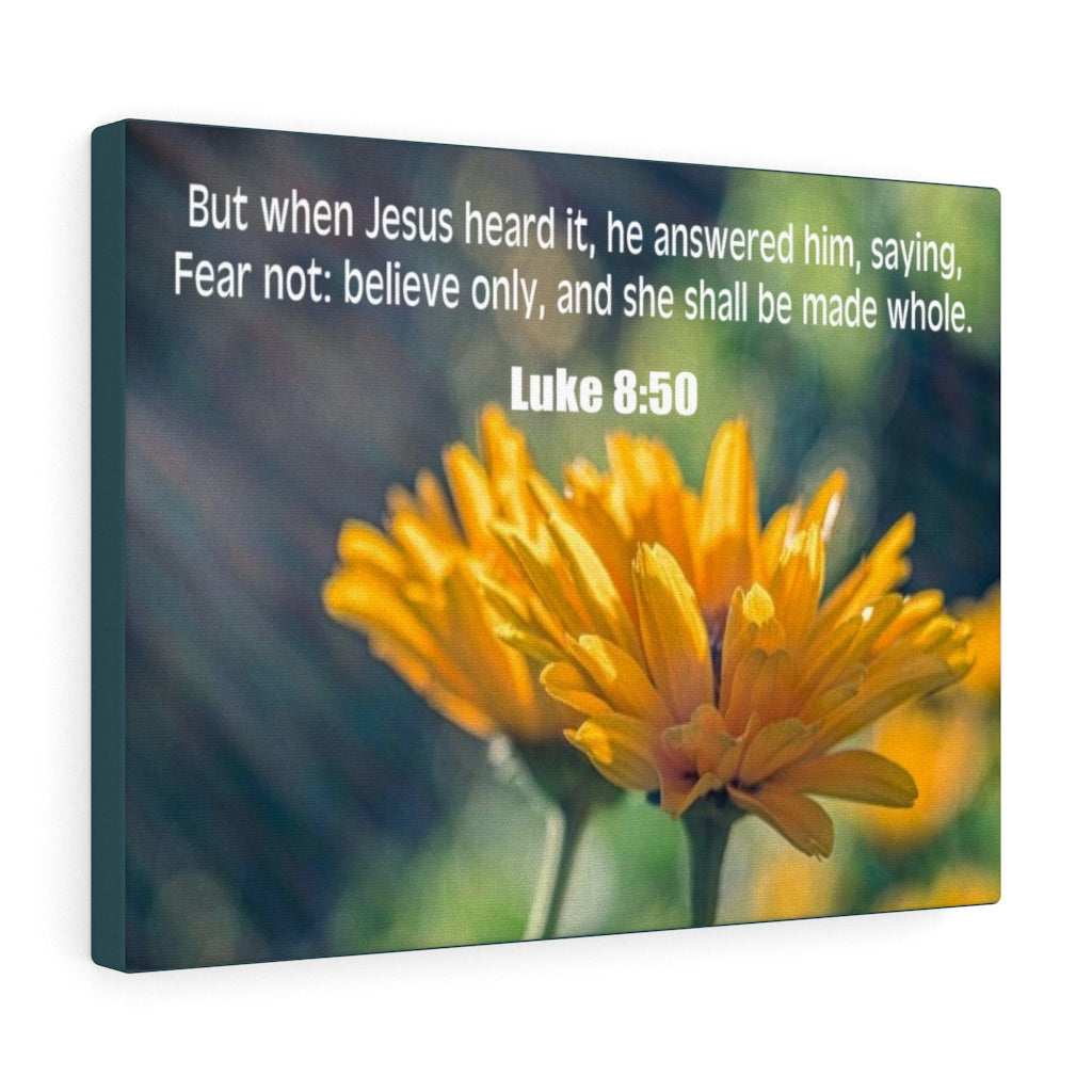 Scripture Walls Believe Only Luke 8:50 Bible Verse Canvas Christian Wall Art Ready to Hang Unframed-Express Your Love Gifts
