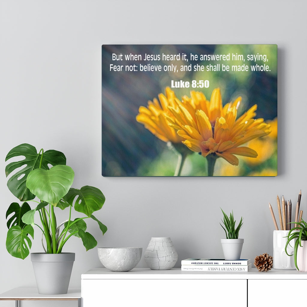 Scripture Walls Believe Only Luke 8:50 Bible Verse Canvas Christian Wall Art Ready to Hang Unframed-Express Your Love Gifts