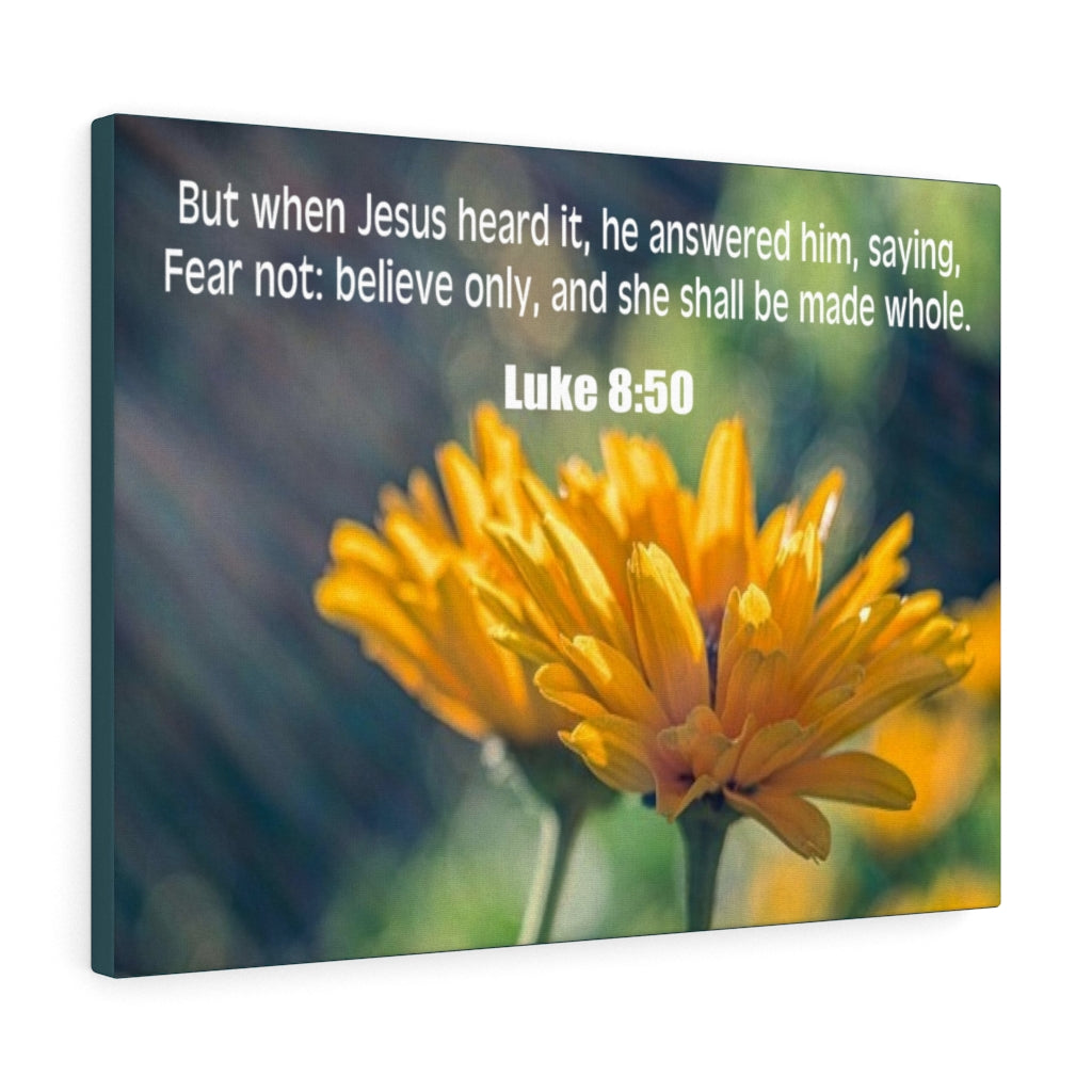 Scripture Walls Believe Only Luke 8:50 Bible Verse Canvas Christian Wall Art Ready to Hang Unframed-Express Your Love Gifts