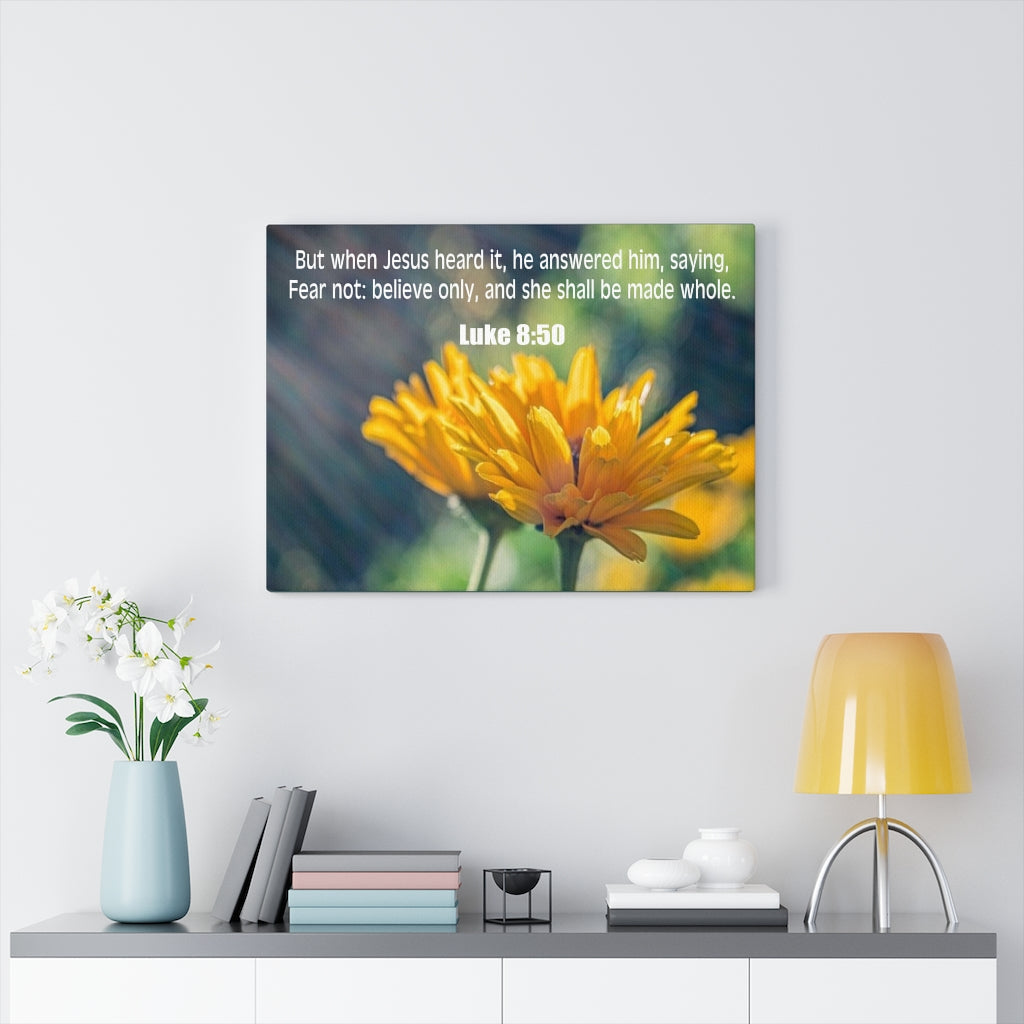 Scripture Walls Believe Only Luke 8:50 Bible Verse Canvas Christian Wall Art Ready to Hang Unframed-Express Your Love Gifts