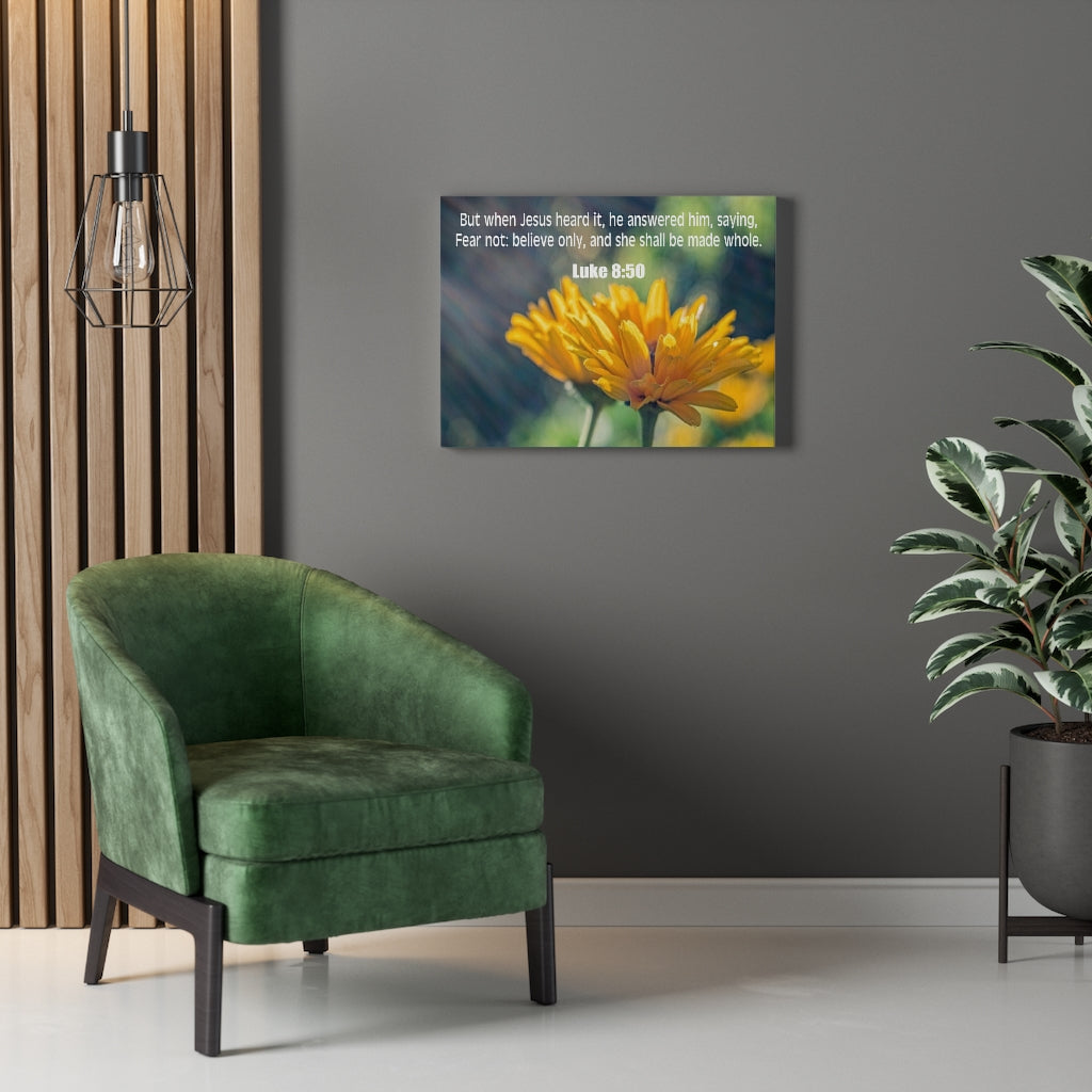 Scripture Walls Believe Only Luke 8:50 Bible Verse Canvas Christian Wall Art Ready to Hang Unframed-Express Your Love Gifts