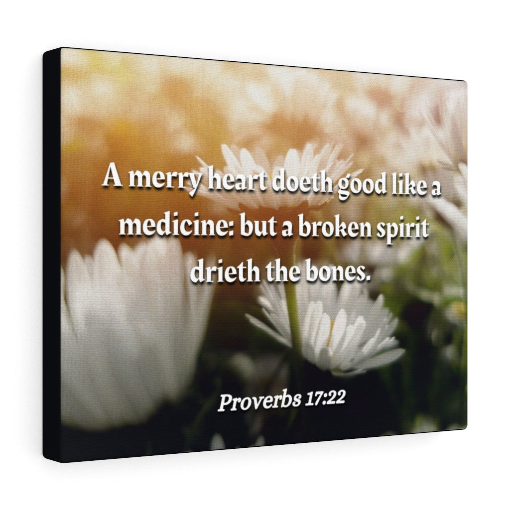 Scripture Walls Broken Spirit Proverbs 17:22 Bible Verse Canvas Christian Wall Art Ready to Hang Unframed-Express Your Love Gifts